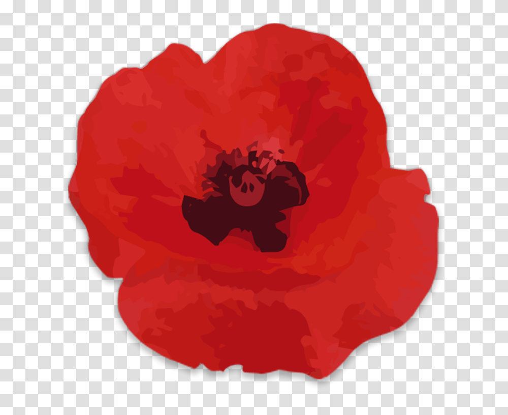 Memorial Day Poppy Wall, Plant, Flower, Painting Transparent Png
