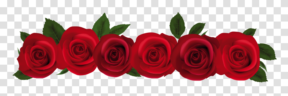 Memories Clip Art Red Roses, Flower, Plant, Blossom, Petal Transparent Png