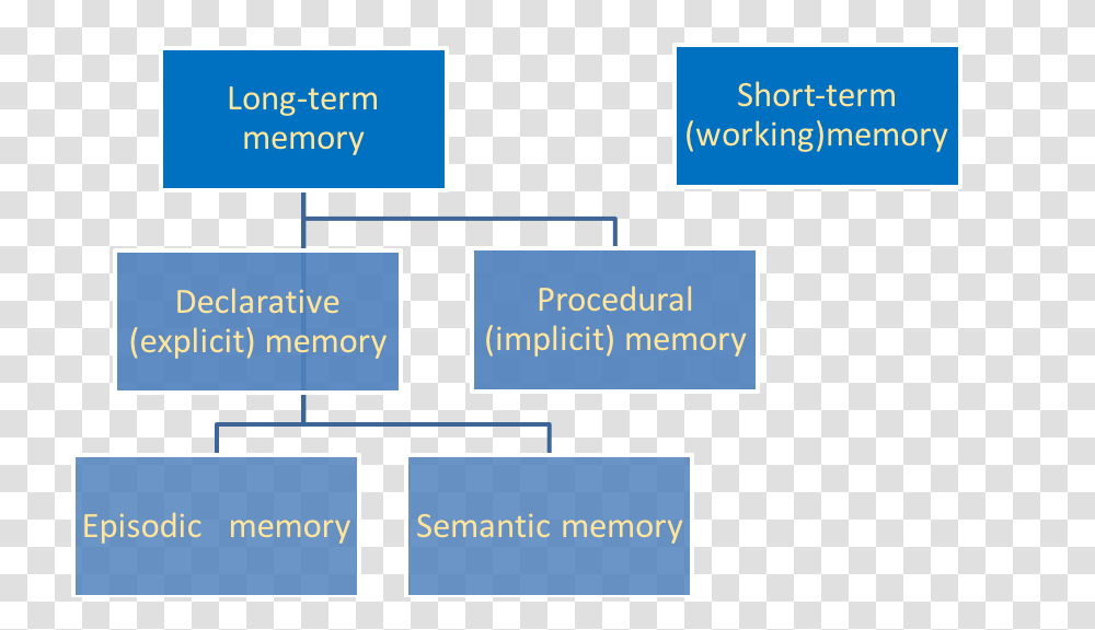 Memory Chart National Geographic Learning In Focus, Plot, Label, Field Transparent Png
