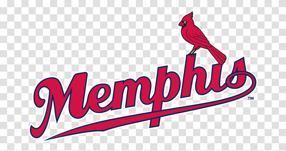 Memphis Redbirds Logos Memphis Redbirds Logo, Animal, Cardinal, Word, Text Transparent Png