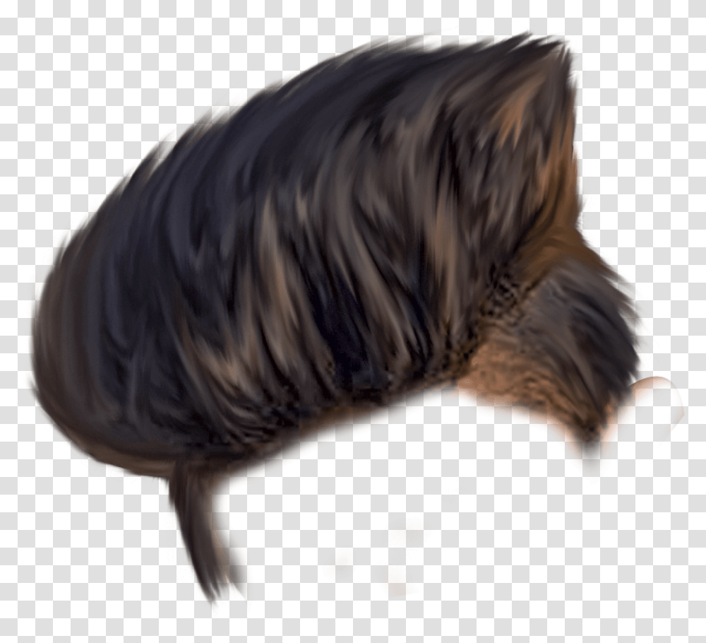 Men Hair Image Boy Hair Style, Chicken, Animal, Mammal, Nature Transparent Png