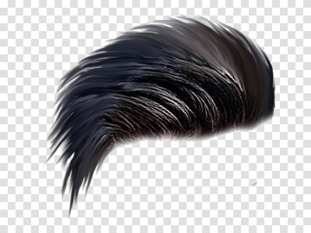 Men Hair Image Hair, Bird, Animal, Mammal, Sea Life Transparent Png