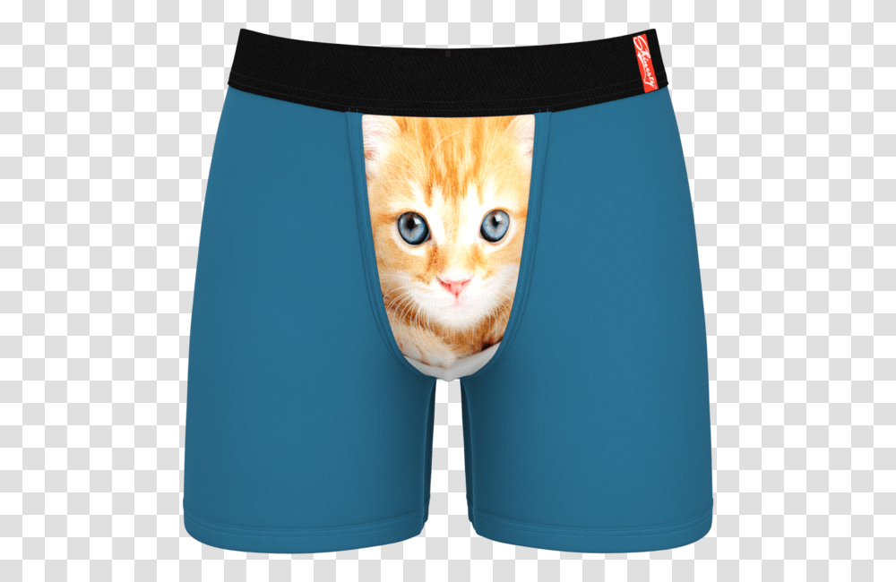 Men's Cat Ball Hammock Boxer Briefs, Apparel, Underwear, Shorts Transparent Png
