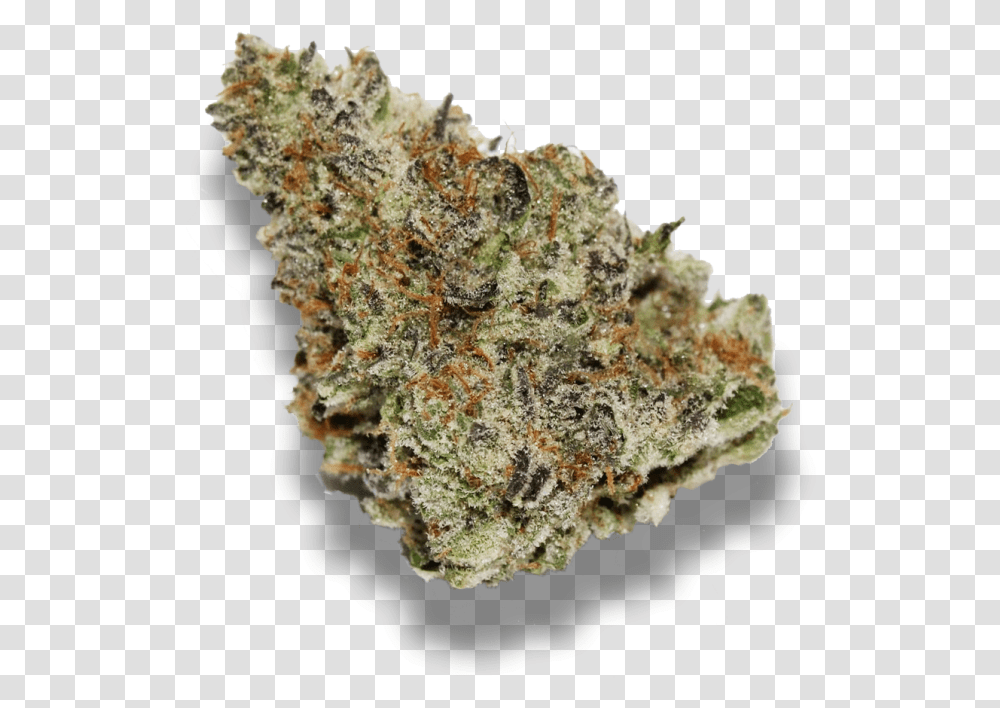 Mendo Breath Wifi Og Weed Strain, Mineral, Plant, Honey Bee, Insect Transparent Png