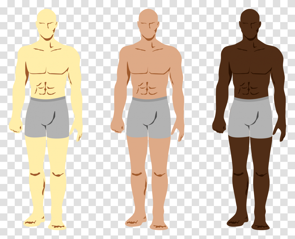 Mens Body Clip Art Download Areas To Spray Cologne, Person, Human, Plot, Shorts Transparent Png