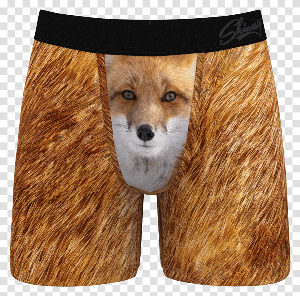 Mens Fox Printed Briefs Transparent Png