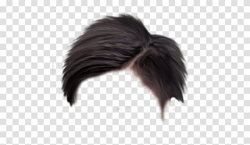 Mens Male Hair, Nature, Outdoors, Animal, Person Transparent Png