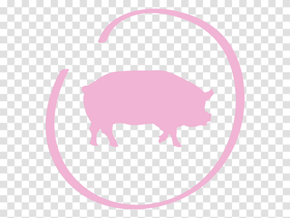 Mensa Vita, Pig, Mammal, Animal, Hog Transparent Png