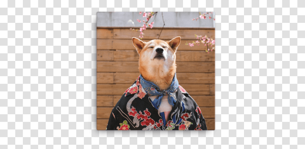 Mensweardog Cherry Blossom Canvas Ch Ch Lm Ngi Mu Nh, Pet, Canine, Animal, Mammal Transparent Png