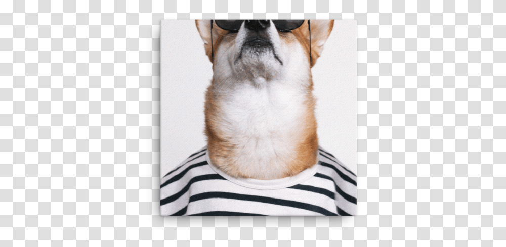 Mensweardog Keep Your Head Up Canvas Dog, Pet, Canine, Animal, Mammal Transparent Png