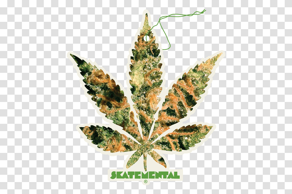 Mental Air Freshener Thc Weed LeafquotClassquotlazyload Illustration, Plant, Pineapple, Fruit, Food Transparent Png