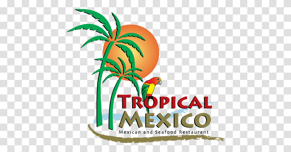 Menu Tropical Mexico, Bird, Animal Transparent Png
