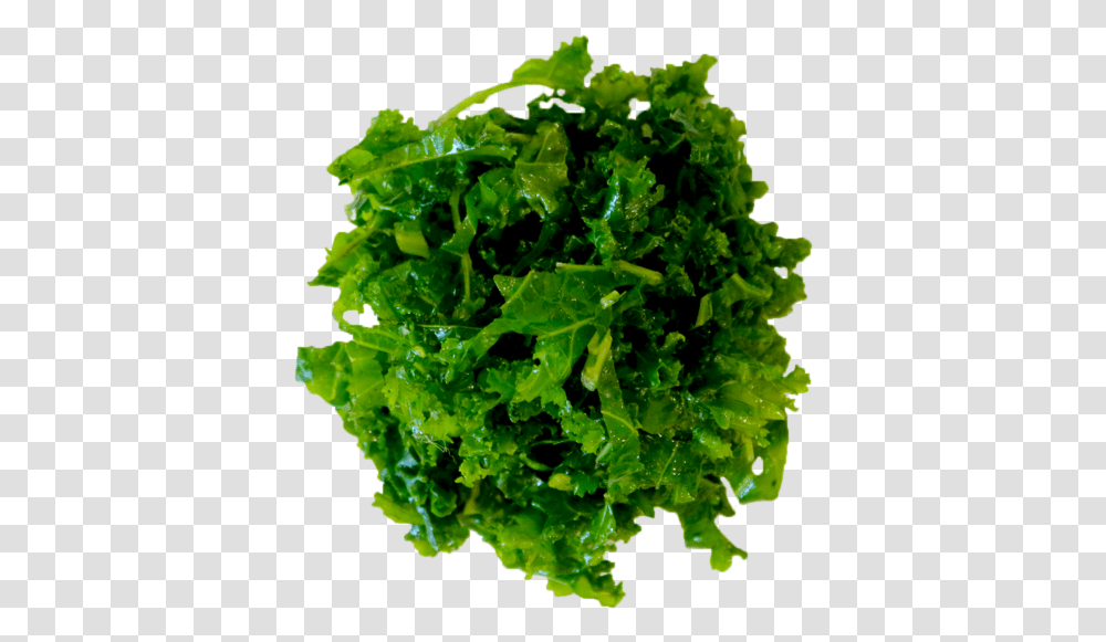 Menu - Hummus Republic Kale, Plant, Vegetable, Food, Lettuce Transparent Png
