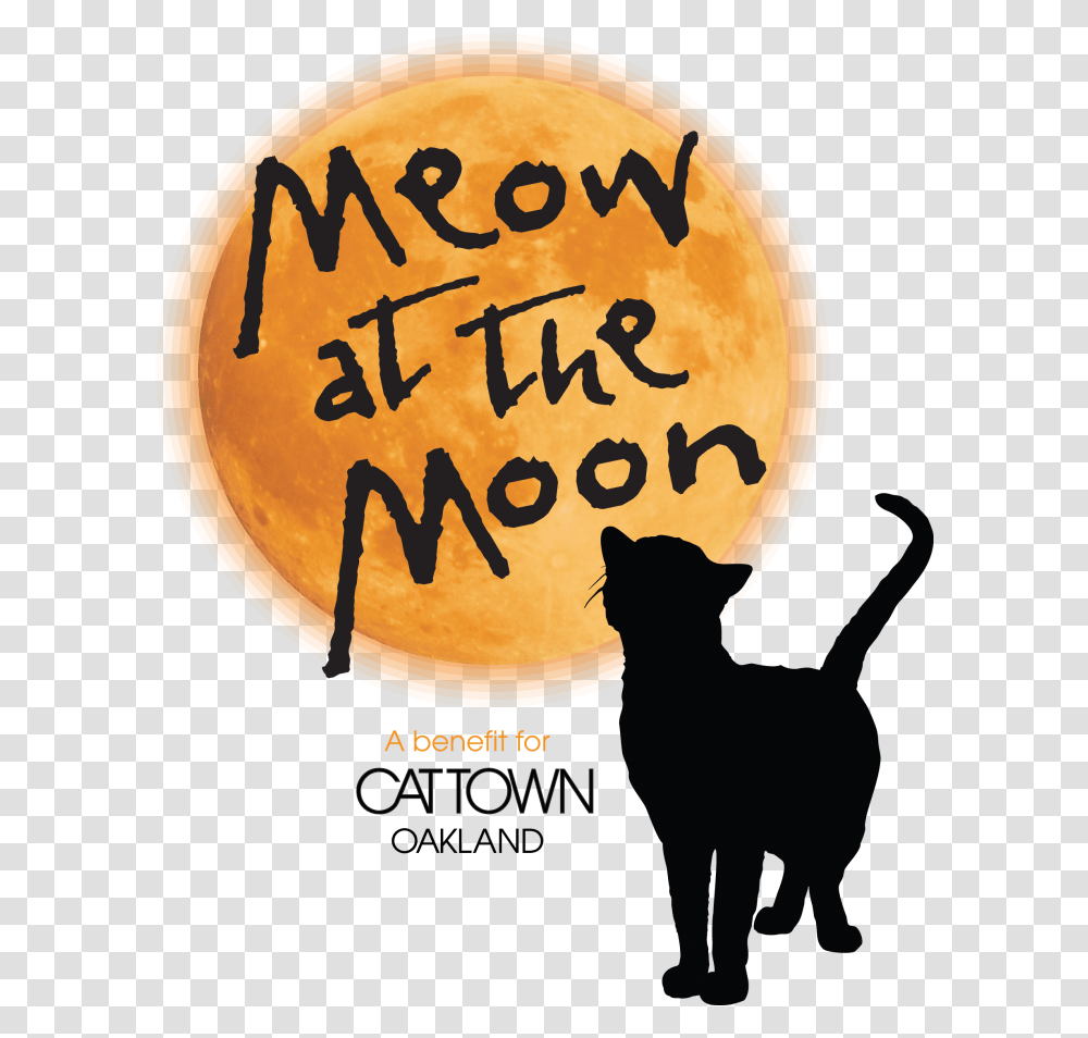 Meow At The Moon Asian, Cat, Pet, Mammal Transparent Png