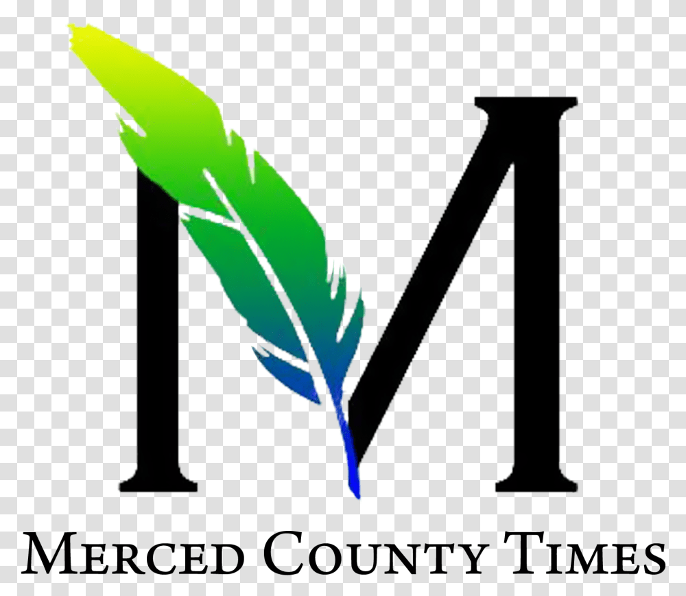 Merced County News - The Times Newspaper Graphic Design, Leaf, Plant, Bow, Grass Transparent Png