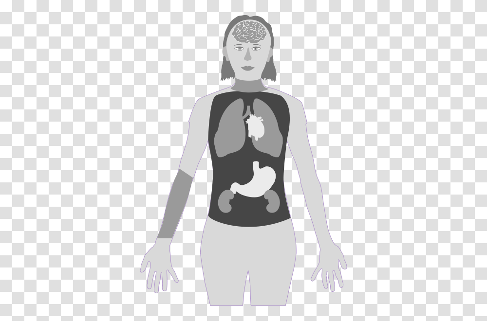 Mercury In Body System, Sleeve, Person, Shirt Transparent Png