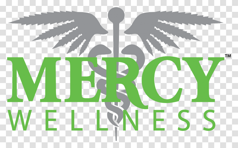 Mercy Wellness Graphic Design, Poster, Advertisement, Word Transparent Png