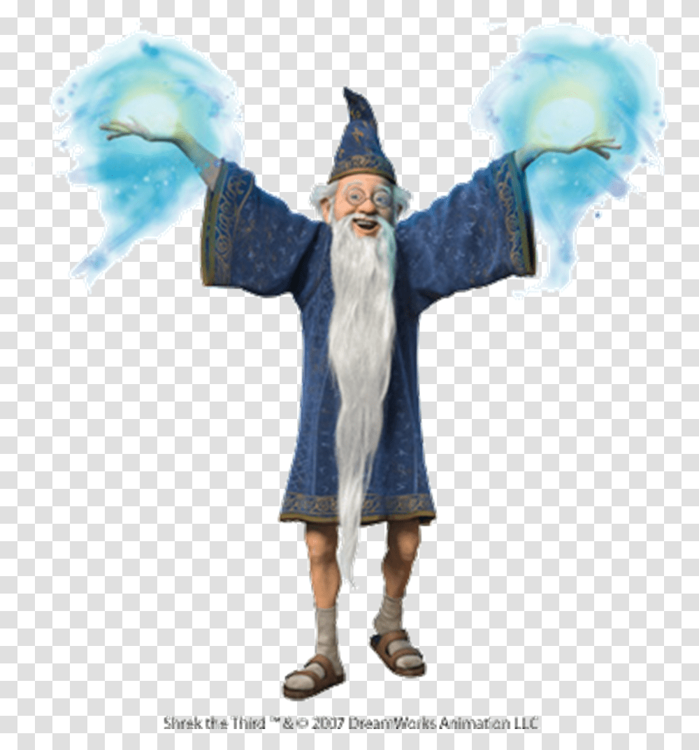 Merlin Image Merlin Shrek, Costume, Person, Human Transparent Png