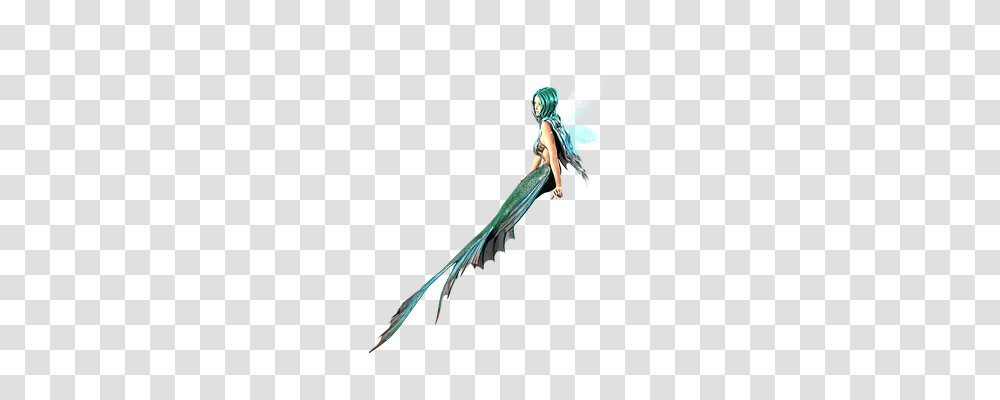 Mermaid Person, Bow, Human Transparent Png