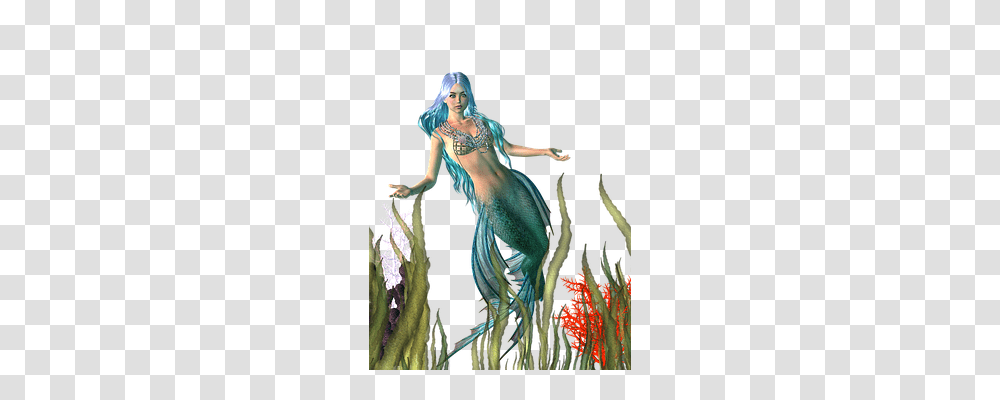 Mermaid Person, Painting, Animal Transparent Png