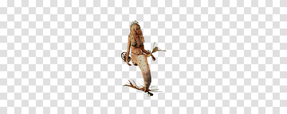 Mermaid Holiday, Person, Human, Costume Transparent Png