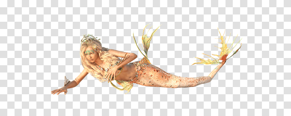 Mermaid Person, Animal, Leisure Activities, Photography Transparent Png