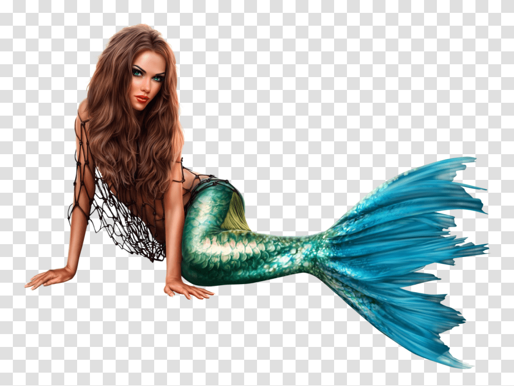 Mermaid, Fantasy, Bird, Animal, Person Transparent Png