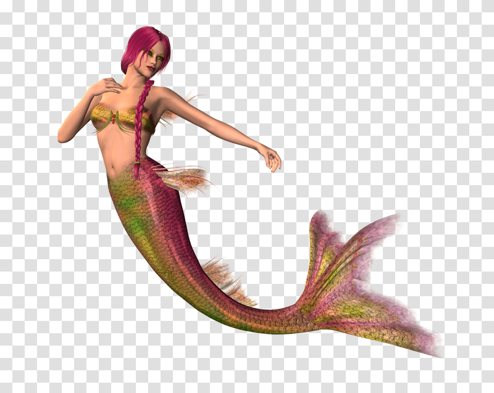 Mermaid, Fantasy, Person, Animal, Stomach Transparent Png