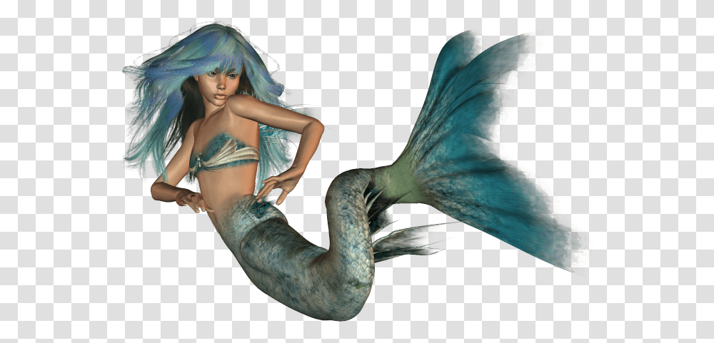 Mermaid, Fantasy, Person, Human, Bird Transparent Png