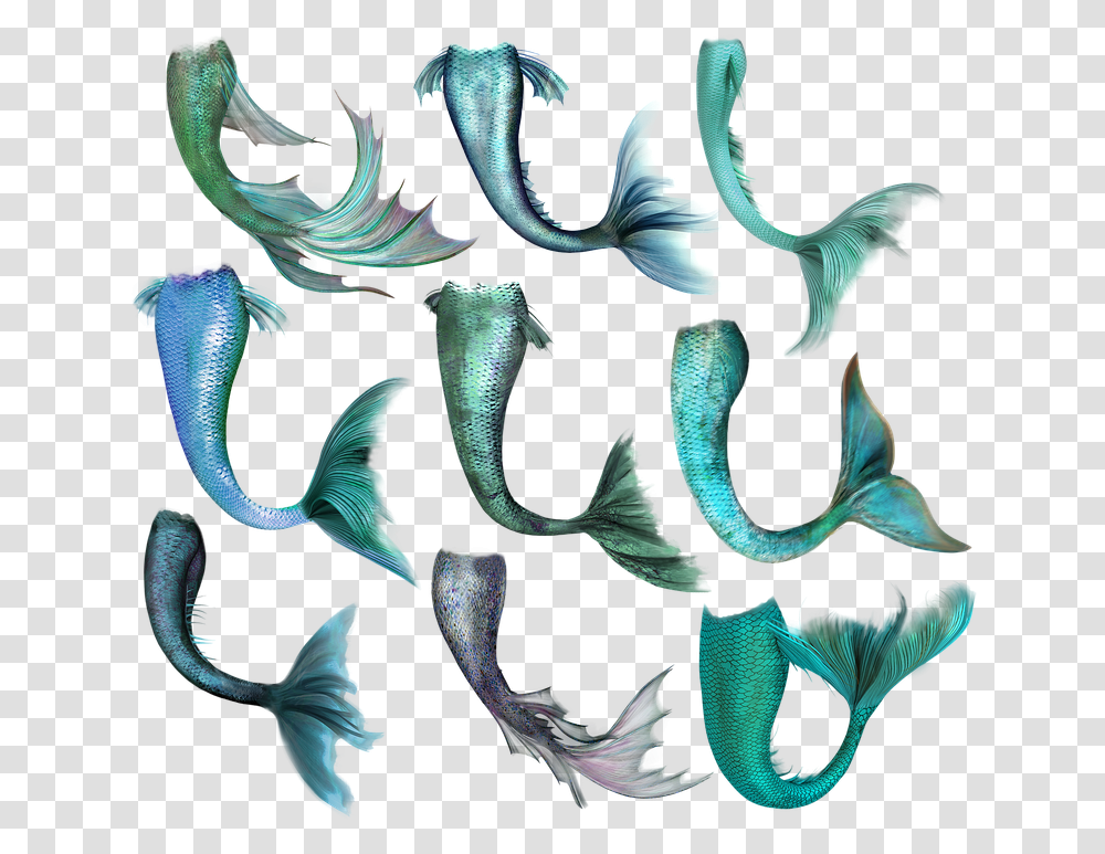 Mermaid Fish Tail Merrow Fantasy Magic Creature Mermaid Tail Overlay, Pattern, Fractal, Ornament, Animal Transparent Png