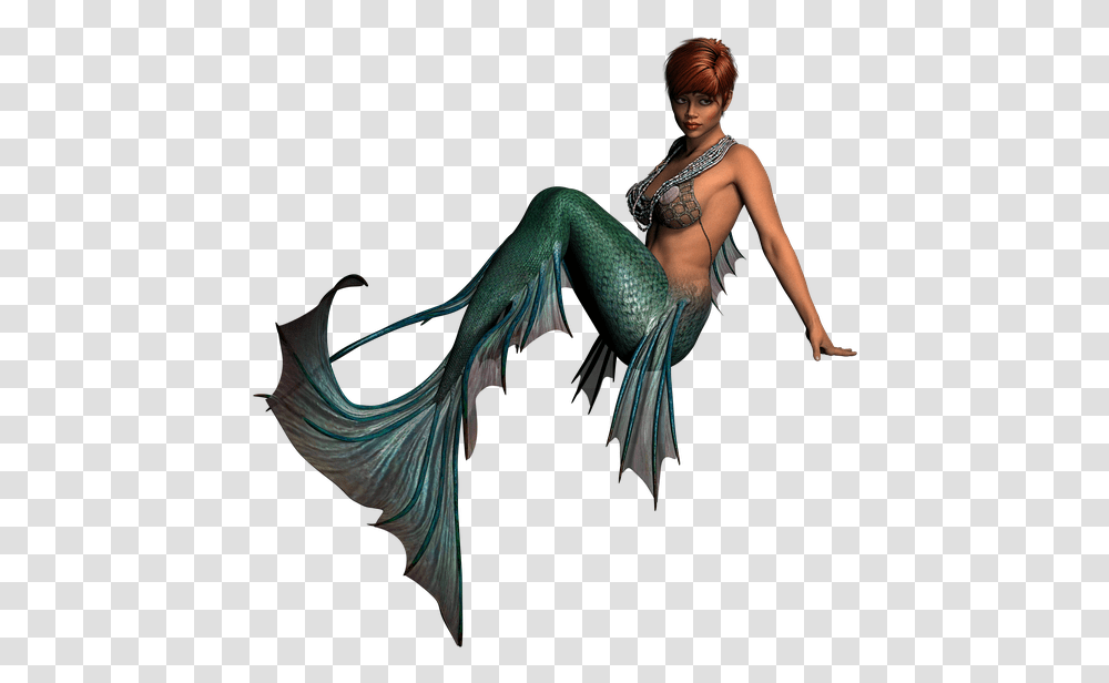 Mermaid Mermaid Images Mermaid Silhouette, Person, Back, Bird Transparent Png