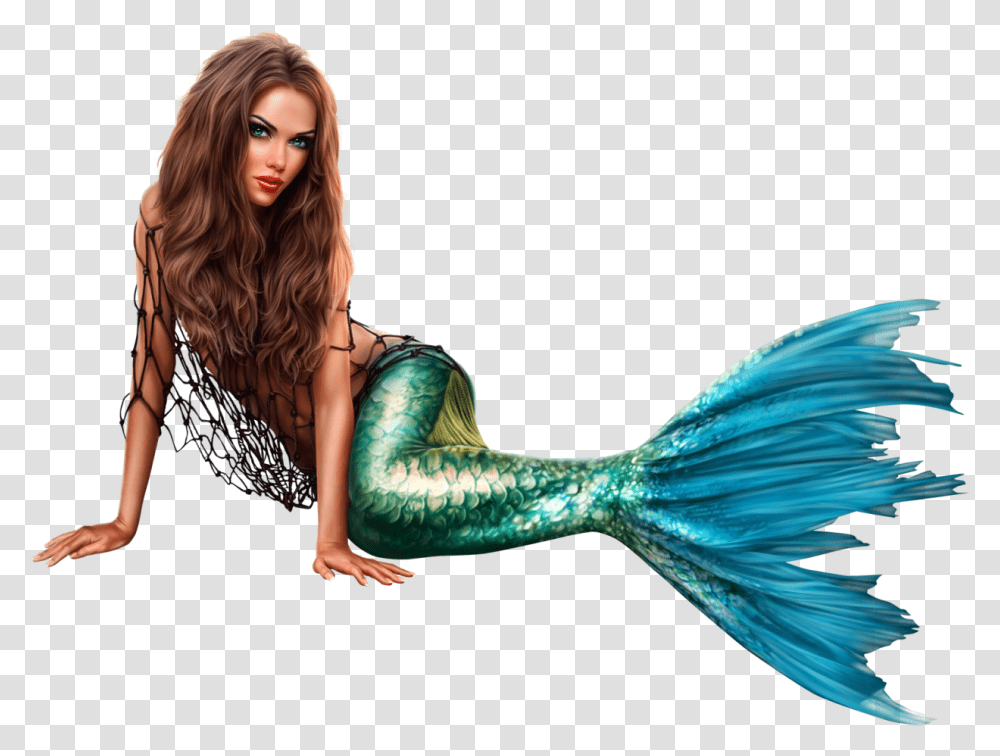 Mermaid Mermaid Woman, Bird, Animal, Female, Person Transparent Png