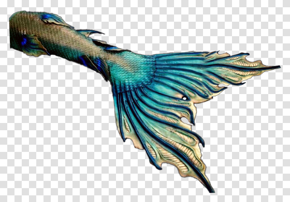 Mermaid Mermaids Tail Fin Fantasy Tails Fins Blue Footed Booby, Bird, Animal, Bluebird, Turquoise Transparent Png
