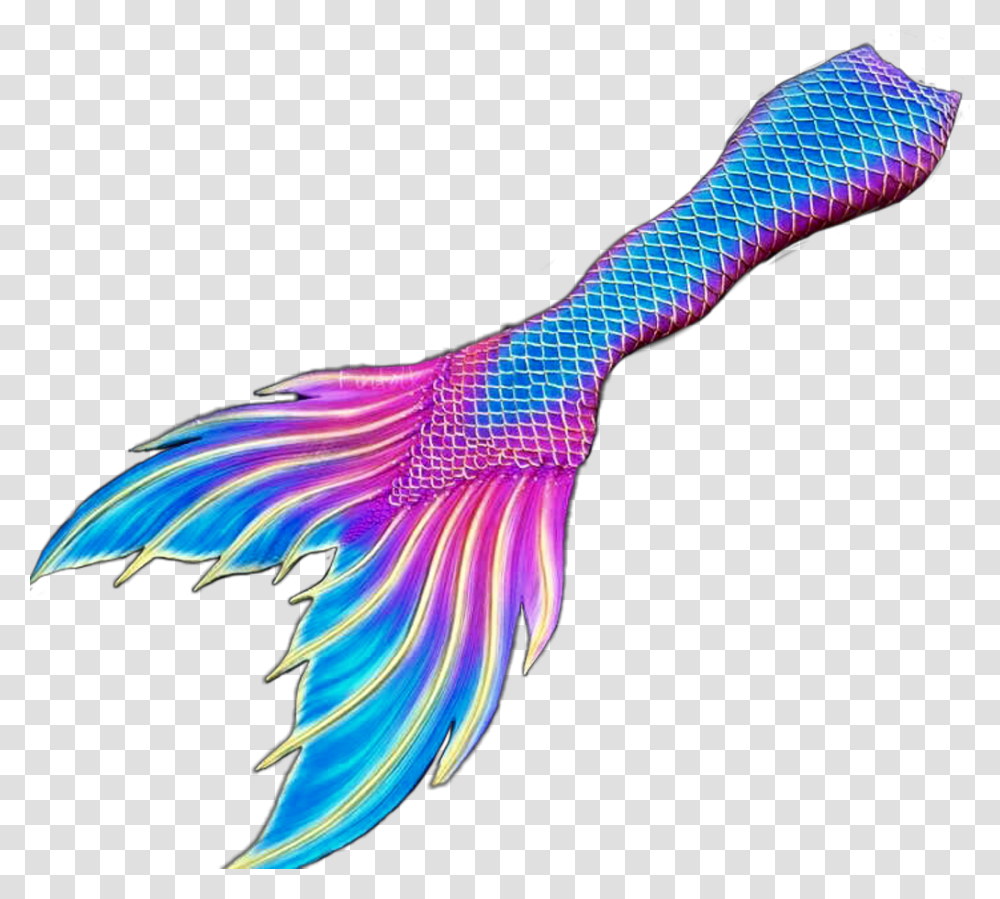 Mermaid Mermaids Tail Fin Tails Fins Fantasy Illustration, Light, Bird, Animal, Person Transparent Png