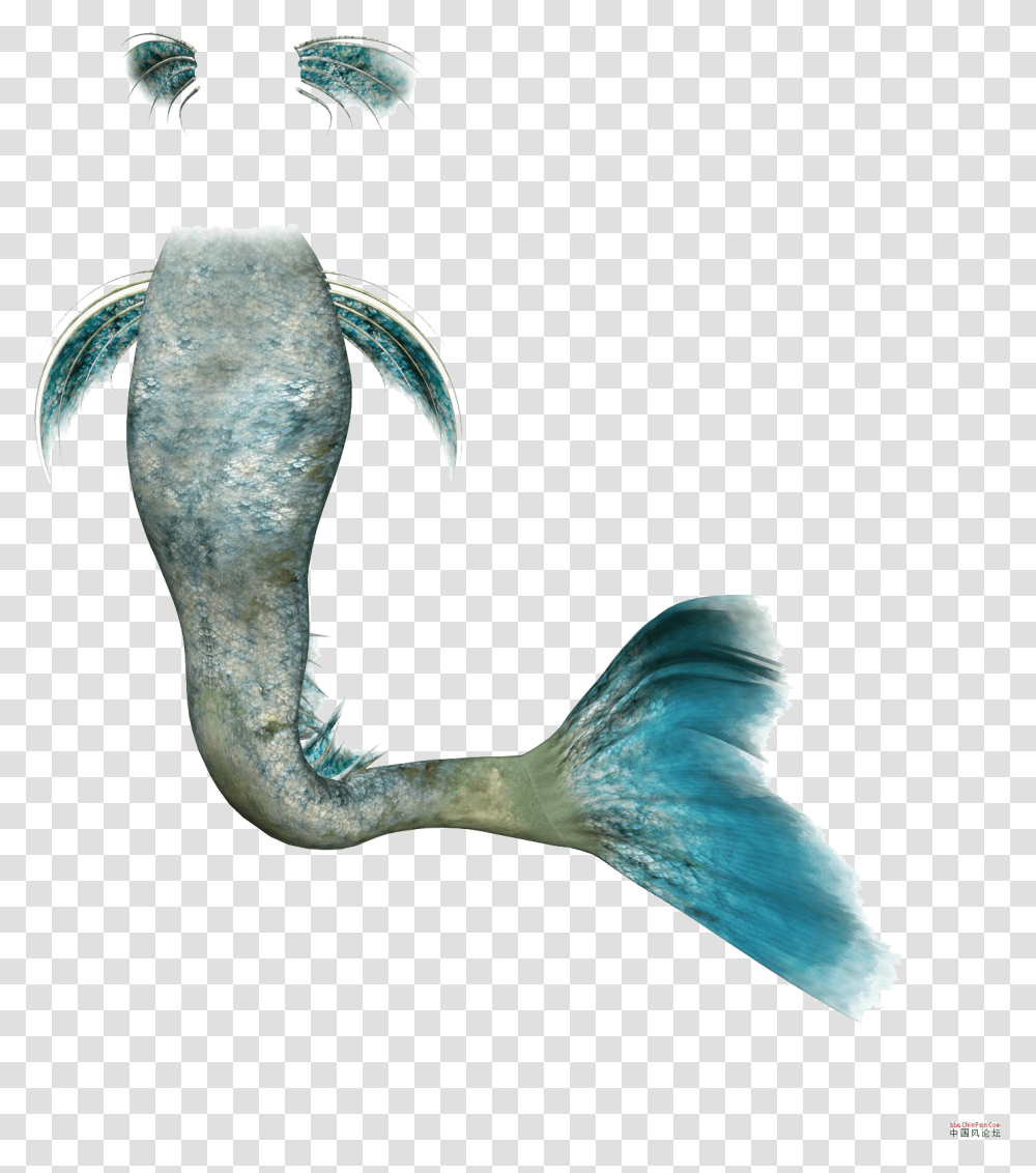 Mermaid Rusalka Clip Art, Animal, Bird, Mammal, Sea Life Transparent Png