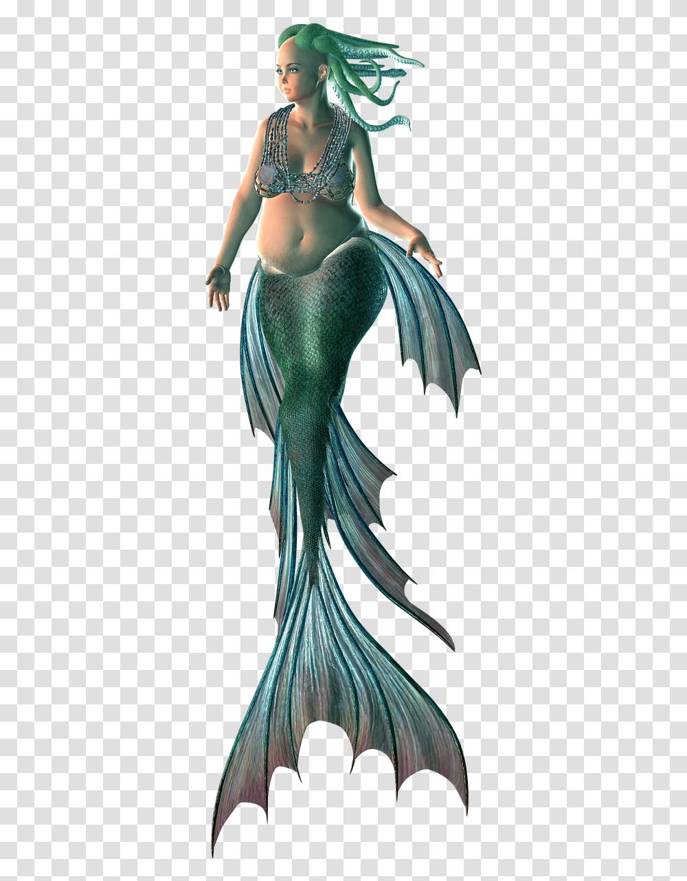 Mermaid Silhouette, Animal, Person, Bird, Jay Transparent Png