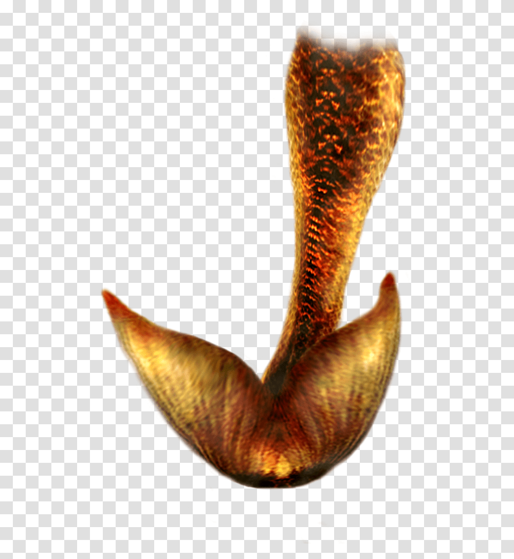 Mermaid Tail, Beak, Bird, Animal, Snake Transparent Png