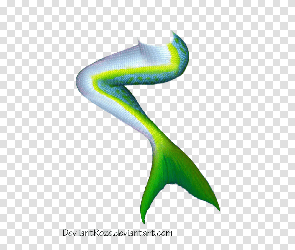 Mermaid Tail, Bird, Animal, Sea Life, Beak Transparent Png
