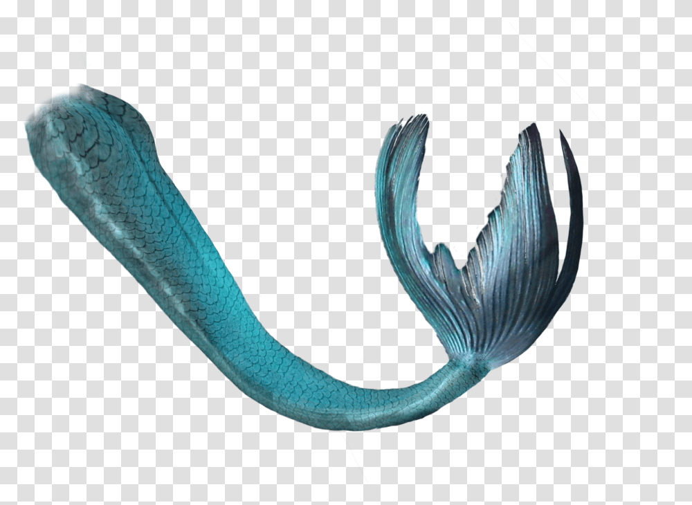 Mermaid Tail Blue Green Mermaid Tail, Snake, Reptile, Animal, Sea Life Transparent Png