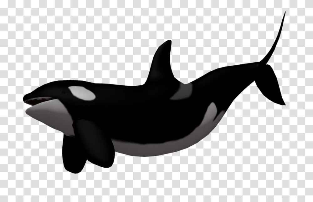 Mermaid Tail Clipart Orca, Sea Life, Animal, Mammal, Killer Whale Transparent Png