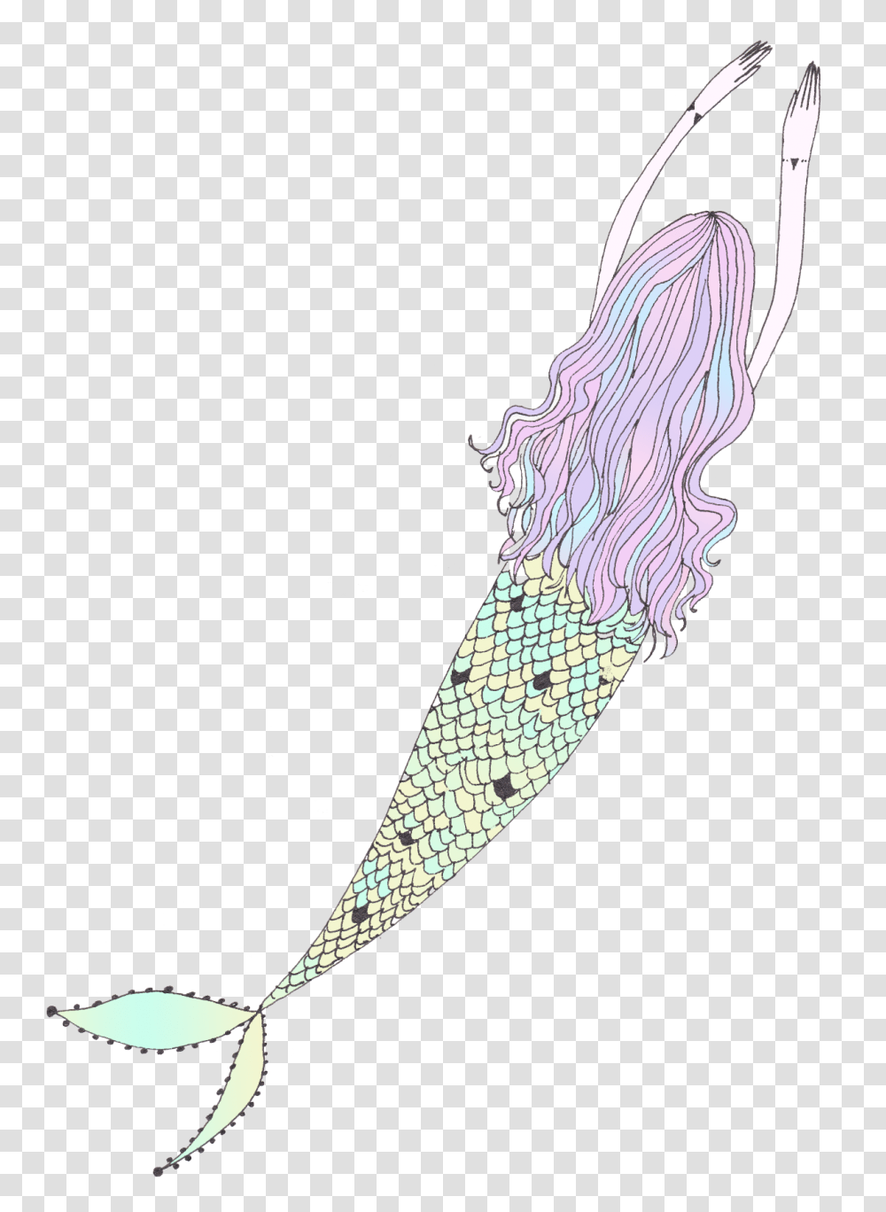 Mermaid Tail Clipart Tumblr Mermaid, Animal, Invertebrate, Weapon, Knife Transparent Png