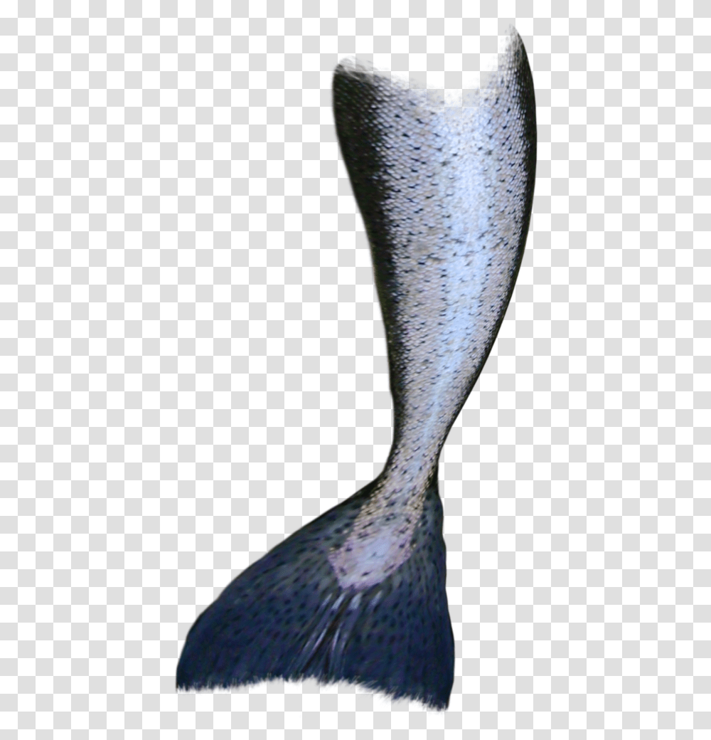 Mermaid Tail Download, Bird, Animal, Tie, Sock Transparent Png