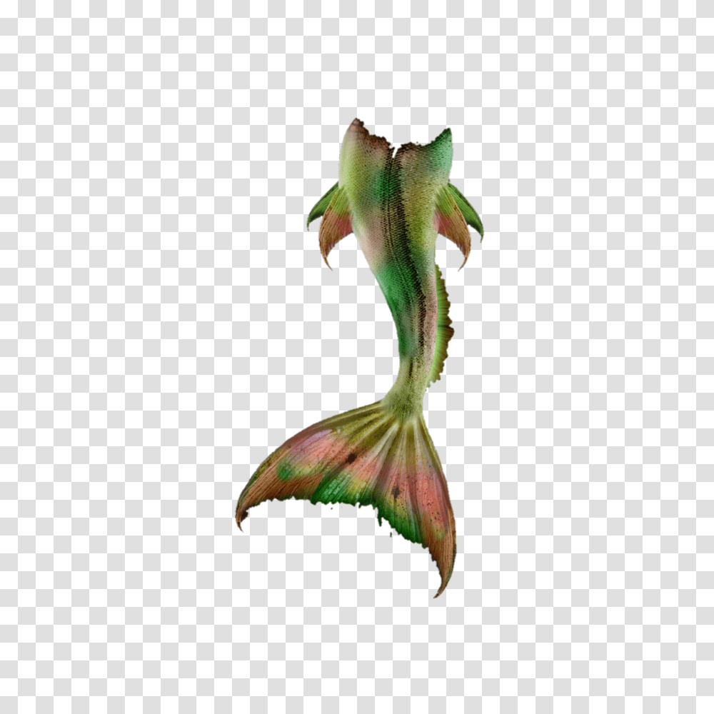 Mermaid Tail Fish Sirena Ftestickers, Plant, Bird, Animal, Flower Transparent Png