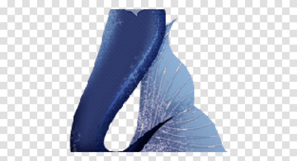 Mermaid Tail For Photoshop, Animal, Sea Life, Invertebrate, Clam Transparent Png
