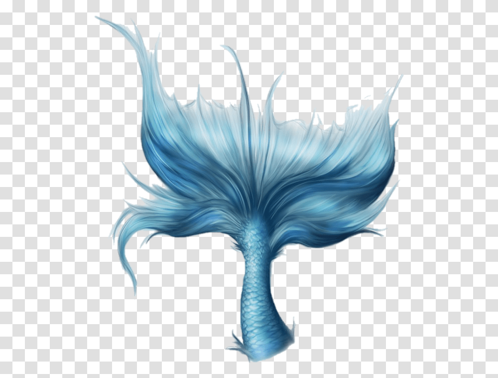 Mermaid Tail, Bird, Animal Transparent Png