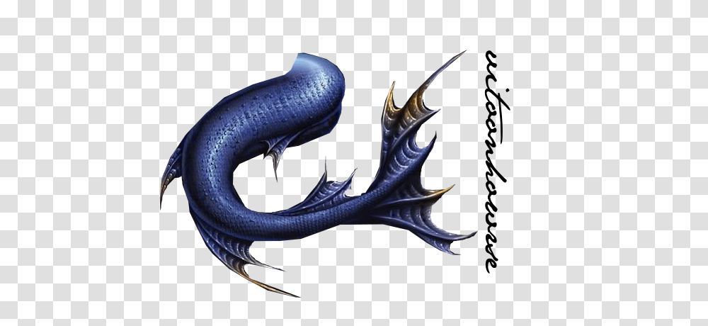 Mermaid Tail Images, Dragon, Animal, Fish, Eel Transparent Png