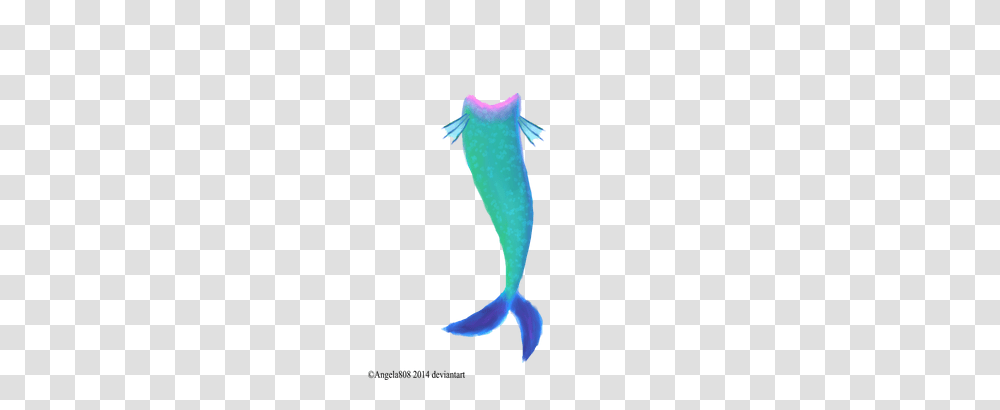 Mermaid Tail Mermaid Tail Images, Sea Life, Animal, Mammal, Seahorse Transparent Png