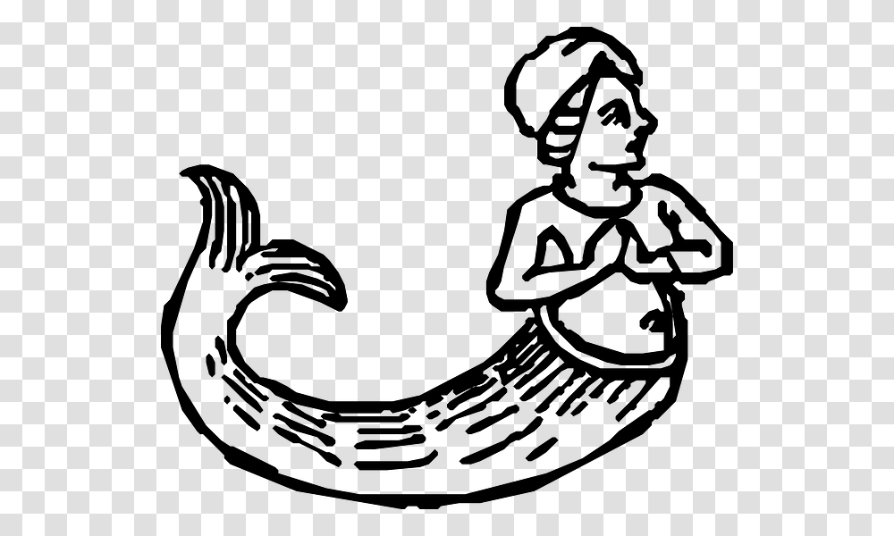 Mermaid Tail Outline Free Black And White Clipart Mermaids, Gray, World Of Warcraft Transparent Png