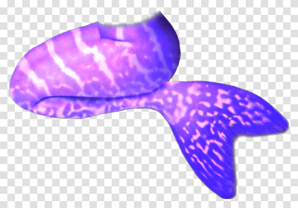 Mermaid Tail Scmermaids Purple Galaxy Rh Picsart Com, Lamp, Animal, Sea Life, Invertebrate Transparent Png