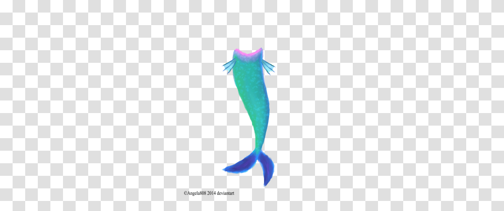 Mermaid Tail, Sea Life, Animal, Mammal, Bird Transparent Png